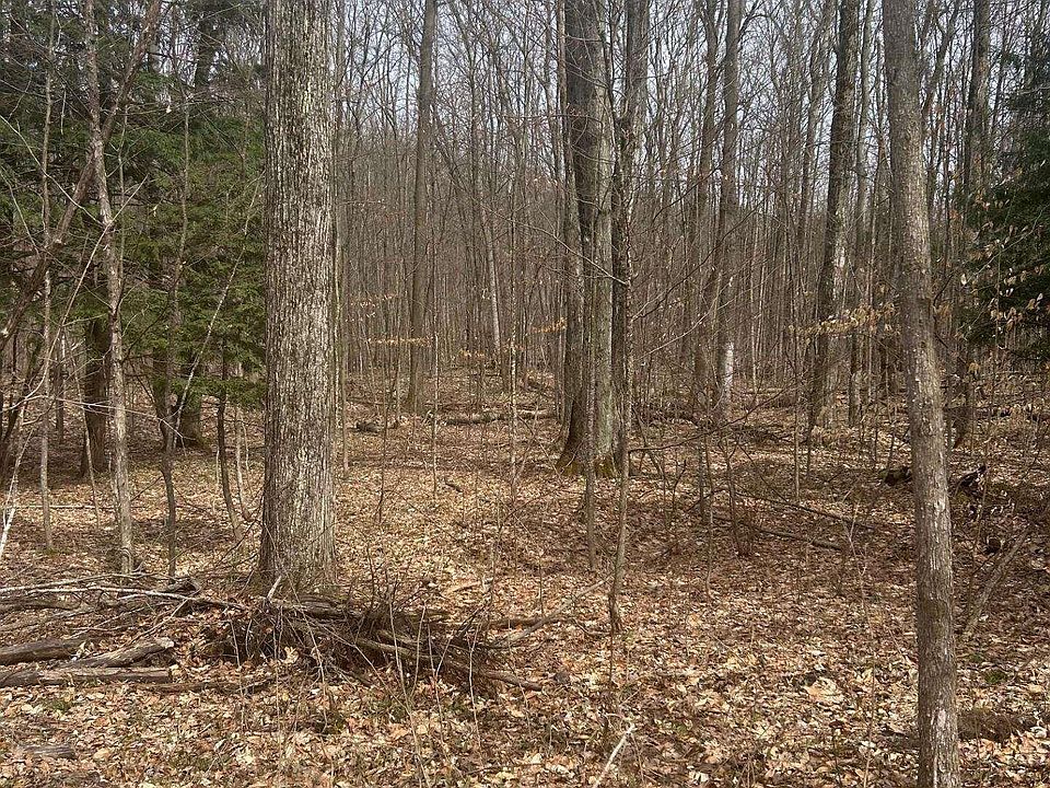 1st image of Lost Lake Rd