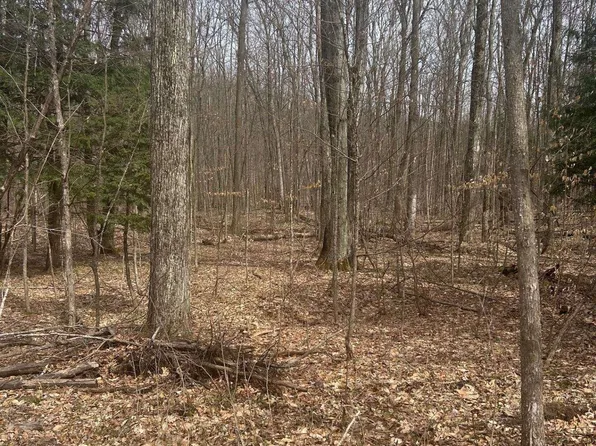 Lost Lake Rd, Beulah, MI 49617