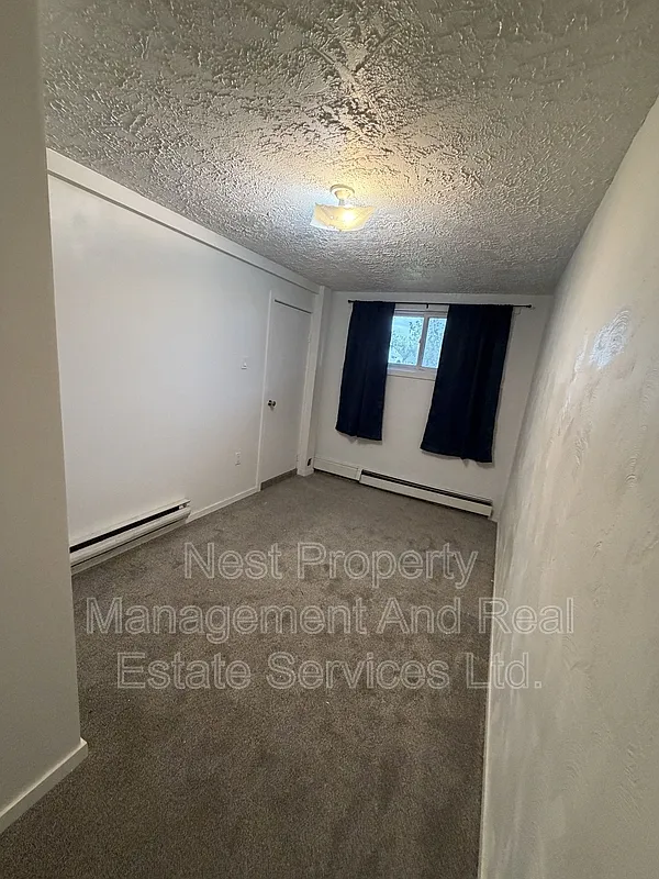 2 bed, 1.0 bath, $1,350 — Photo 3