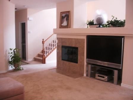 Fireplace in Family Room