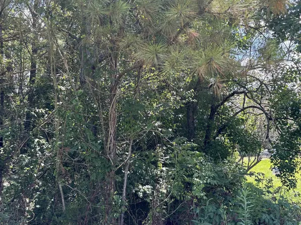 Florida Blvd, Walker, LA 70785