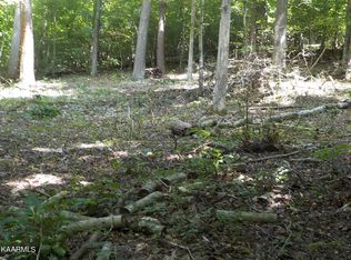 Mitchell Rd, Blaine, TN 37709