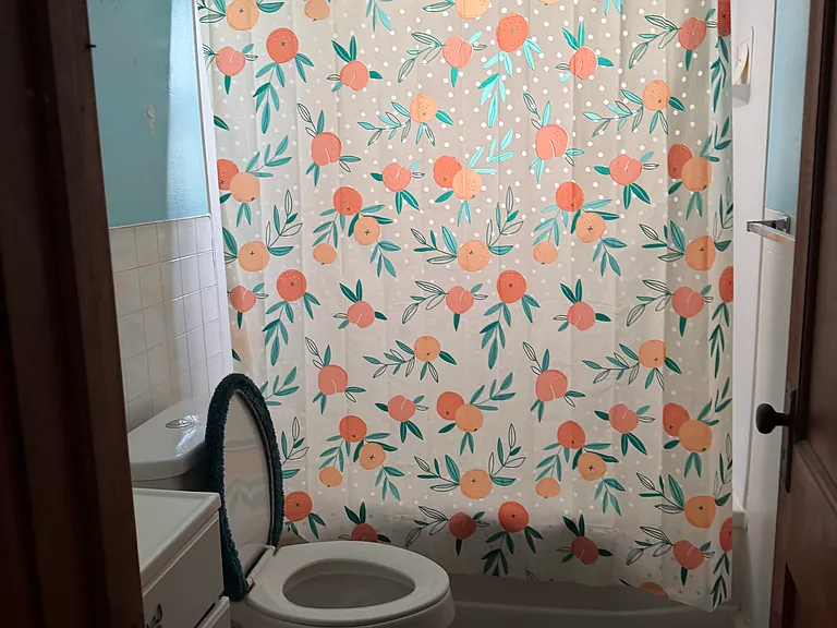3 Graham St #3 — Photo 7