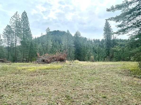 3756 N Deer Lake Rd, Loon Lake, WA 99148