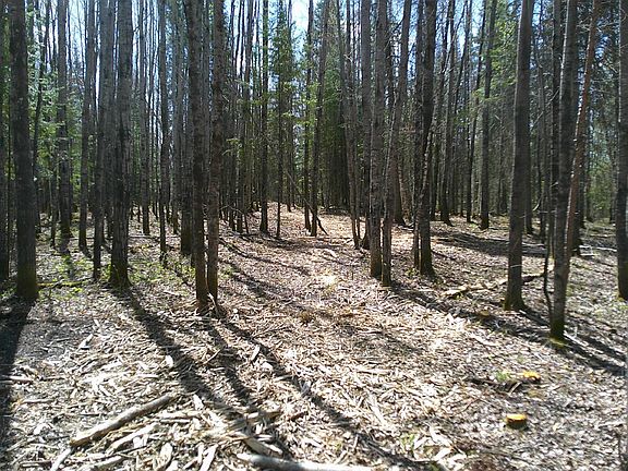 4th image of 2300 W Frazer Bay Rd