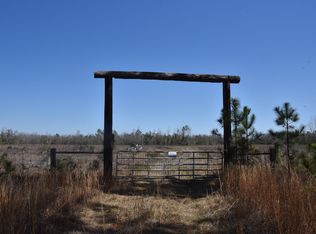 0FF NE 246th St LOT WP001, Old Town, FL 32680