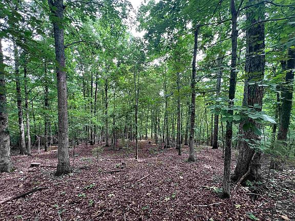 2nd image of 2661 Red Bluff Rd