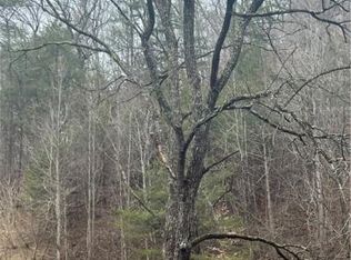 725 Dry Branch Rd, Drybranch, WV 25061