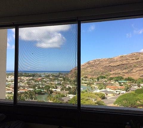 View From Living room