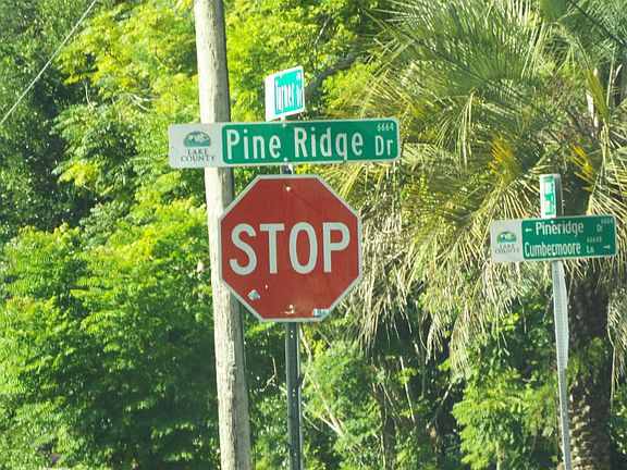 5th image of 17123 Pineridge Dr