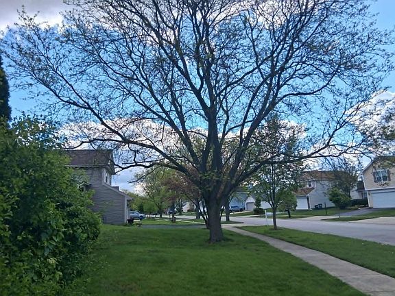 4th image of 79 Brookstone Dr