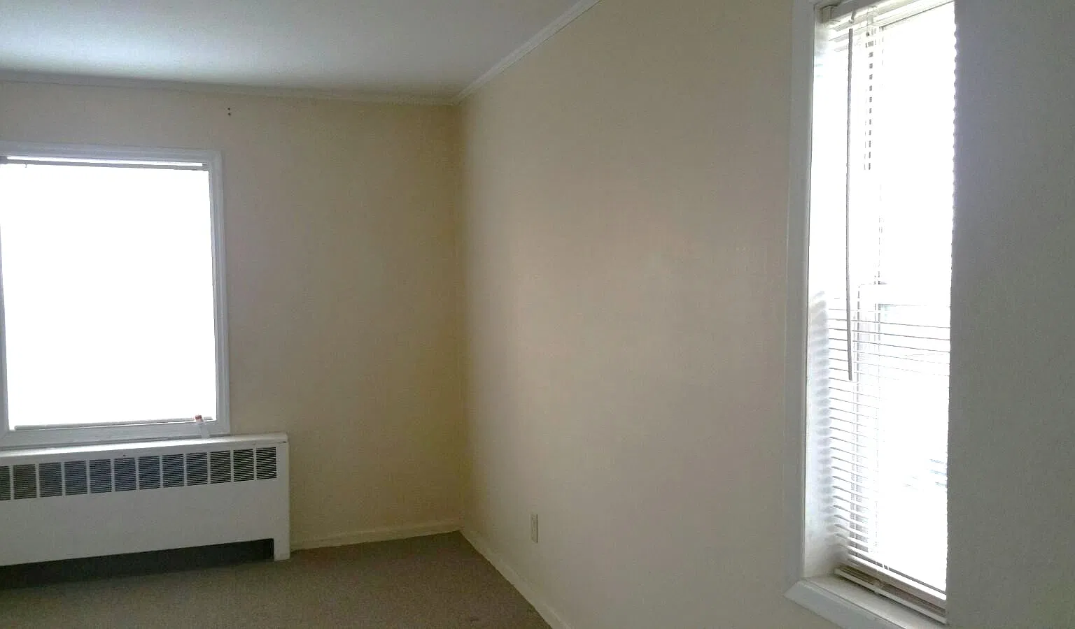 1 bed, 600 sqft, $1,420 — Photo 3