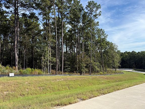 3rd image of 99 Pine Timber Dr
