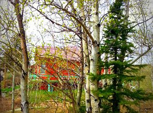 13 Sunview Ter, Walkerville, MT 59701