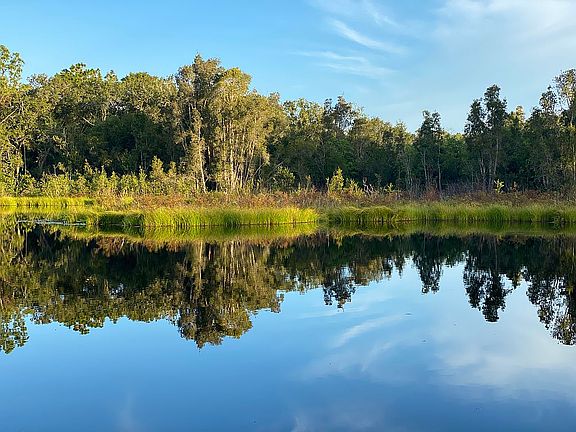 Northbound view of lake  