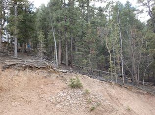 620 Wakanda Trl, Woodland Park, CO 80863