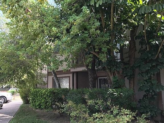 Trees makes condo cool