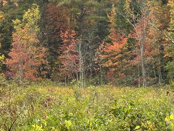 3rd image of 0 North Rd