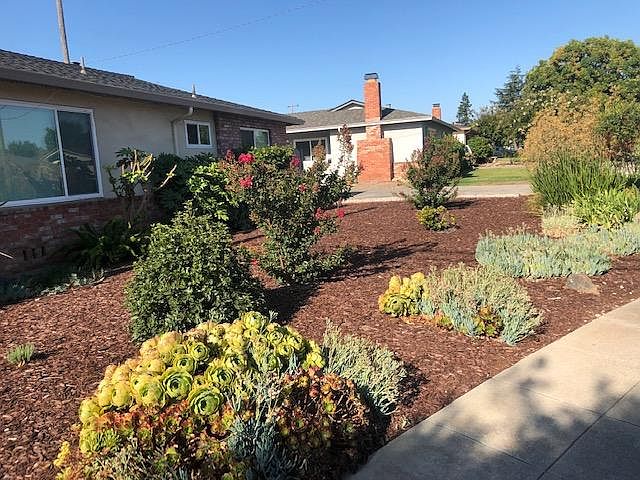 Front Yard