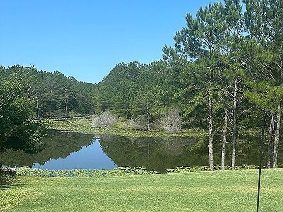 4th image of 11464 Crimson Ridge Rd #82
