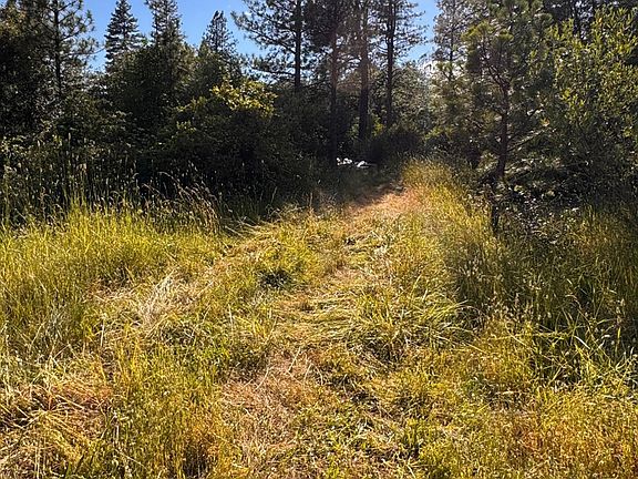 4th image of 16492 Indiana Ranch Rd