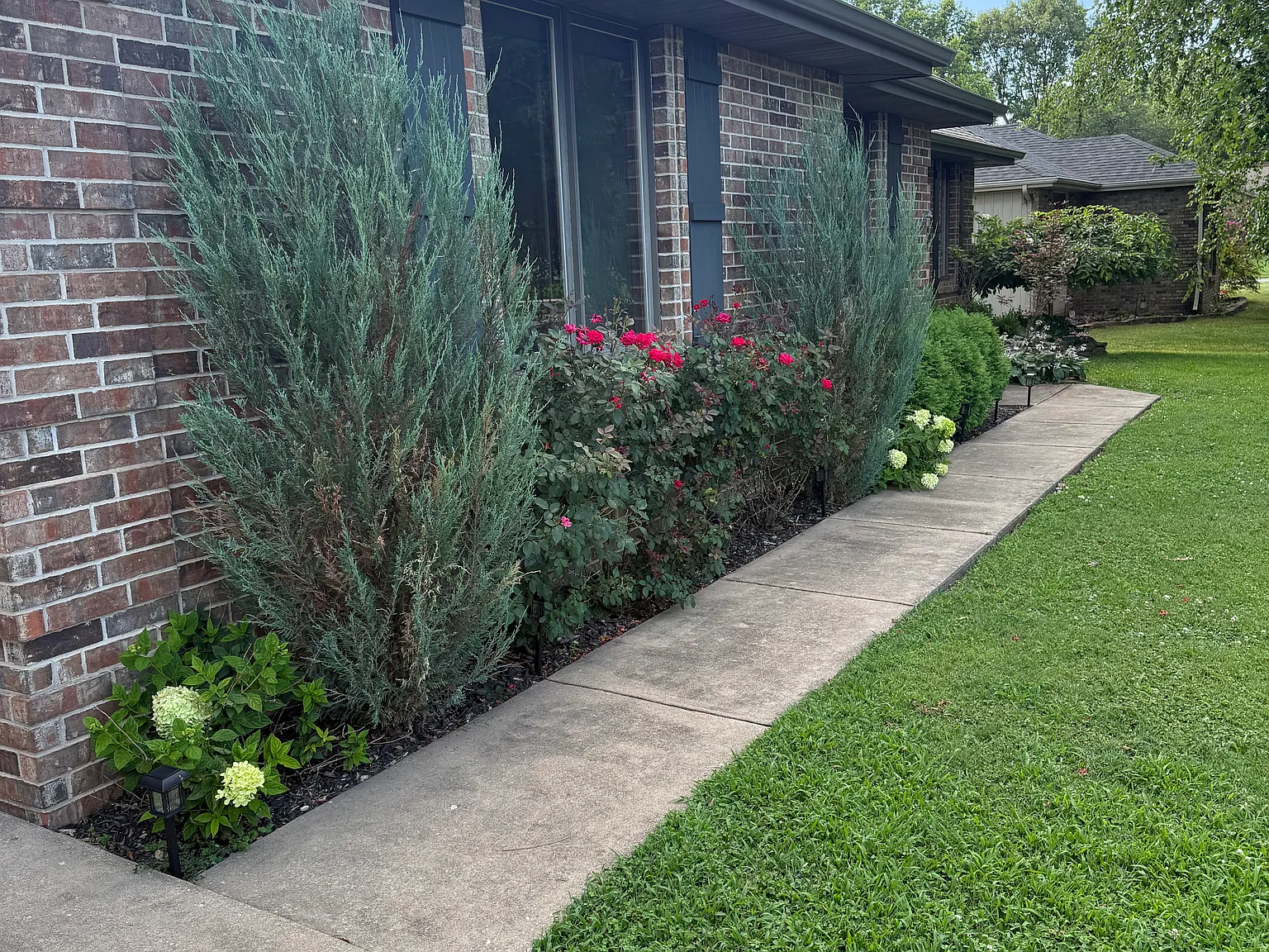 3 bed, 1650 sqft, $1,750 — Photo 3