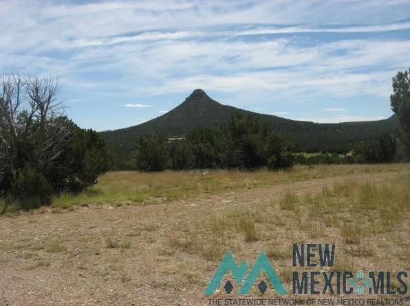 3 Acres Tract #B-2, Serafina, NM 87569