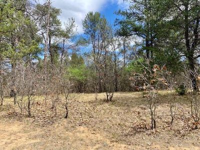Lot 1 Ridgewood #1, Friendship, WI, 53934