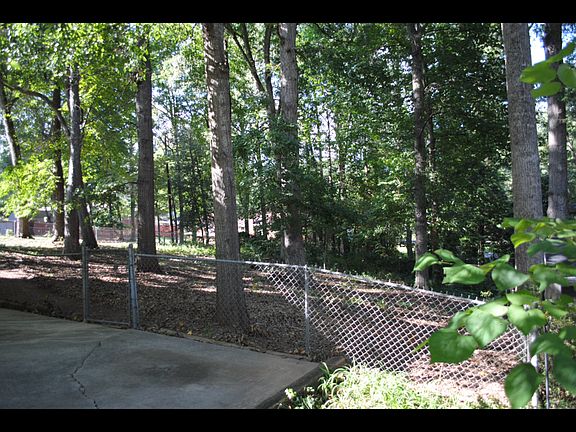 Wooded backyard, shade trees