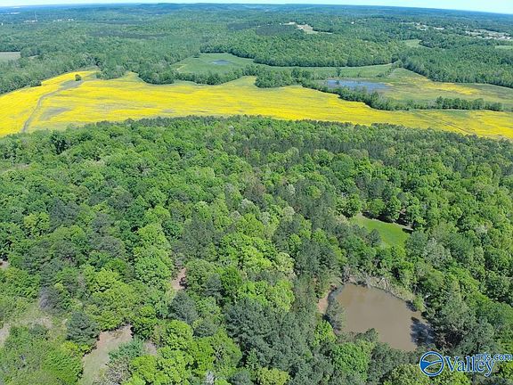 3rd image of County Road 585