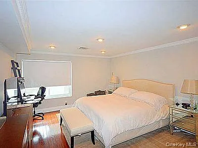 100 Cuttermill Rd #4V — Photo 10
