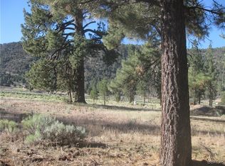 2824 Erwin Ranch Rd, Big Bear City, CA 92314