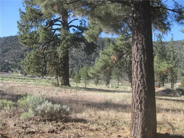 2824 Erwin Ranch Rd, Big Bear City, CA 92314