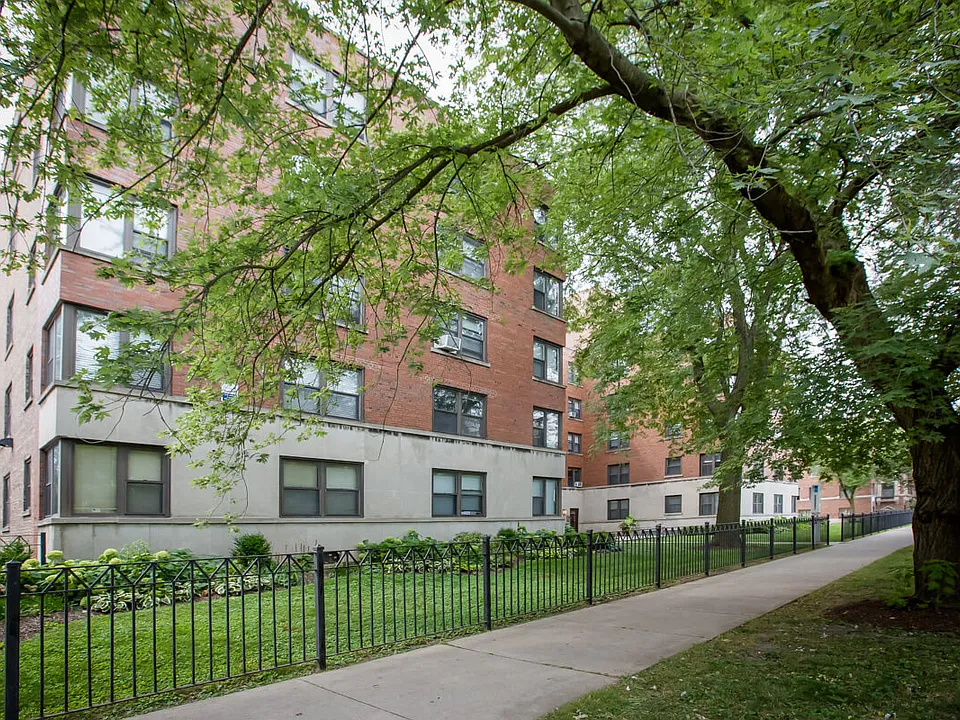 Ivy at Mason