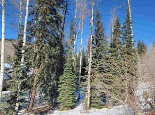 165 Engineer Dr, Durango, CO 81301