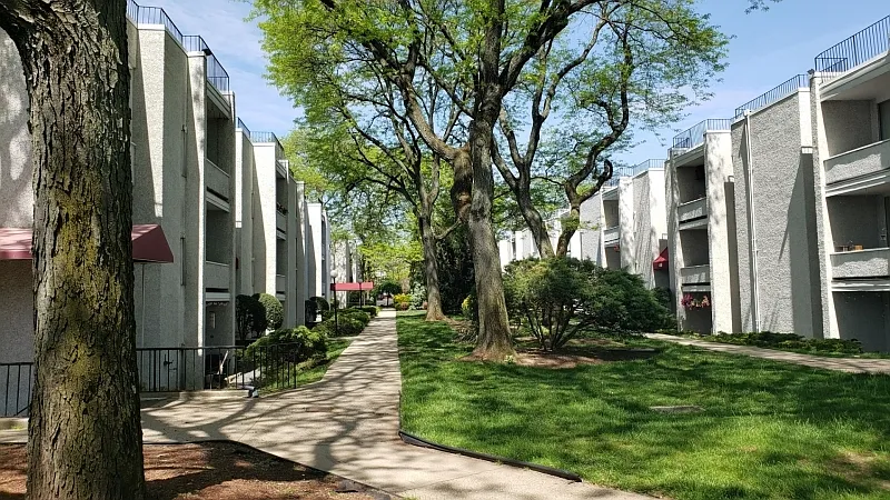 2 bed, 1.5 bath, $2,650 — Photo 2