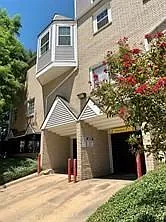 1010 Allen St #231 — Photo 14