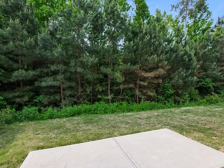 12423 Hunting Birds Ln — Photo 17