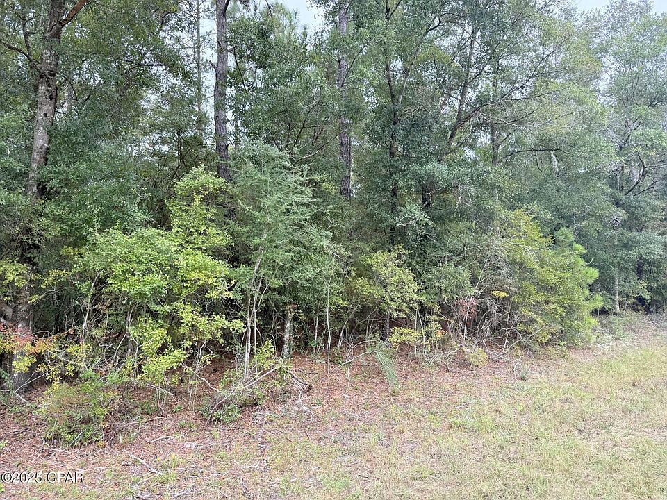 2nd image of Shell Landing Rd