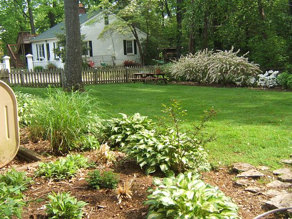 back yard