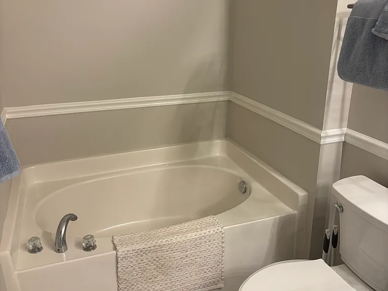 master bath garden tub