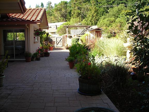 Back garden patio