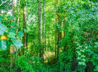 000 Indian Cave Rd, Hendersonville, NC 28739