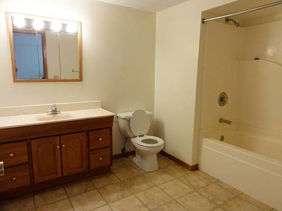 Lower Level Bathroom