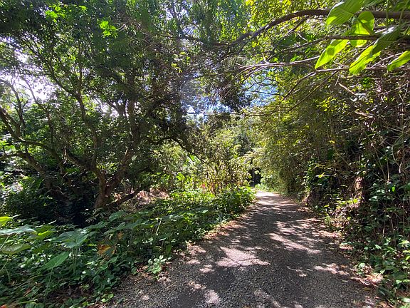 Enjoy your own magical and private drive up to the property.