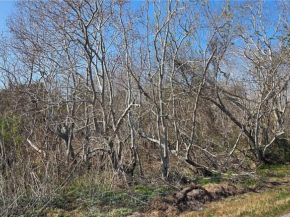 2nd image of 2515B Monkey Rd