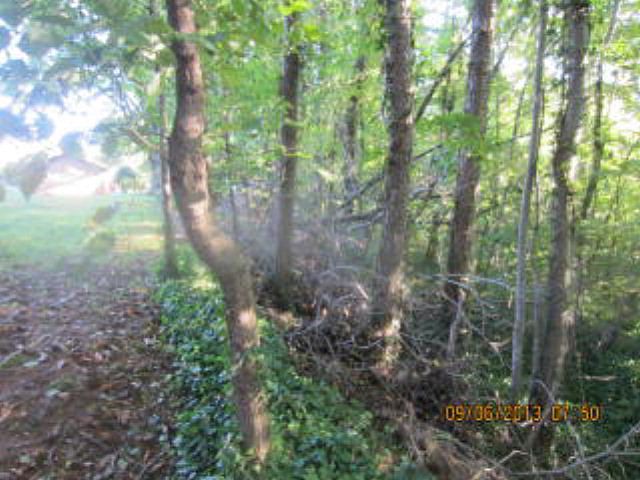 1st image of 48 Bolden Dr