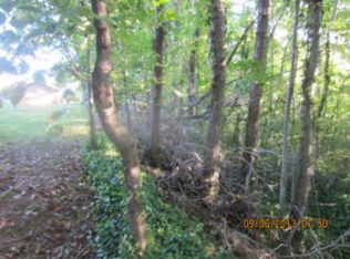 48 Bolden Dr, Marion, NC 28752