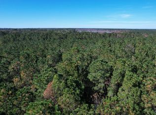 7.90 Acres-TBD Puncheon Creek Dr., Andrews, SC 29510