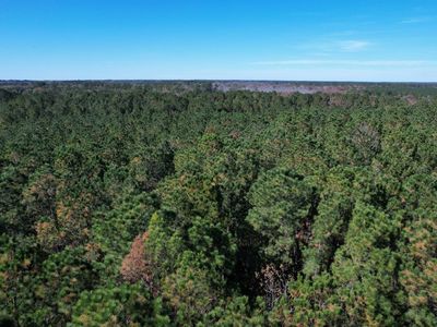 7.90 Acres-TBD Puncheon Creek Dr., Andrews, SC, 29510